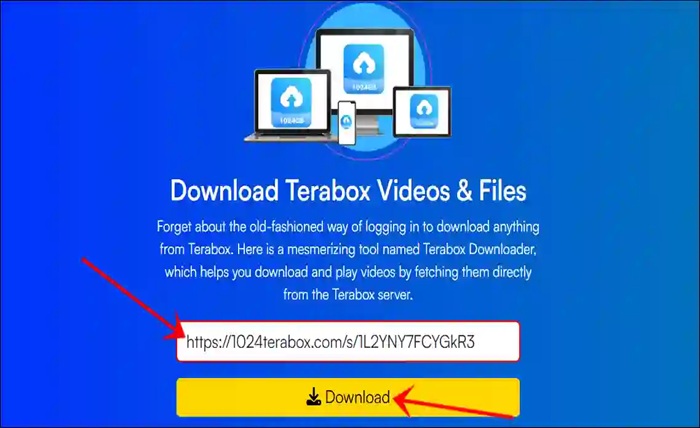 terabox link player